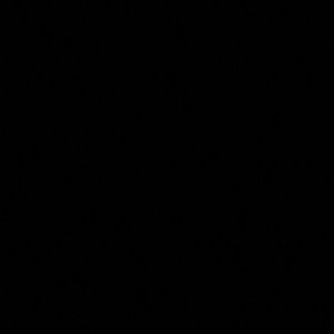 Meet your Posher, Garrison